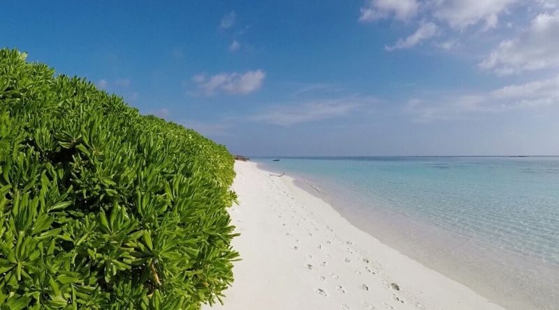 local-island-maldives1