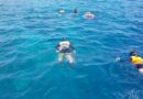 snorkeling-maldives1