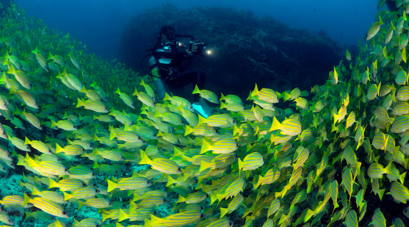 nature-and-wildlife-maldives