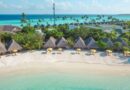 Dhigufaru Island Resort Guide