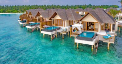 Furaveri Maldives Guide